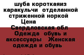 шуба короткаяиз каракульчи, отделанной стриженной норкой › Цена ­ 10 000 - Свердловская обл. Одежда, обувь и аксессуары » Женская одежда и обувь   